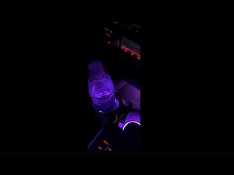 Portavasos iluminados LED Multicolor
